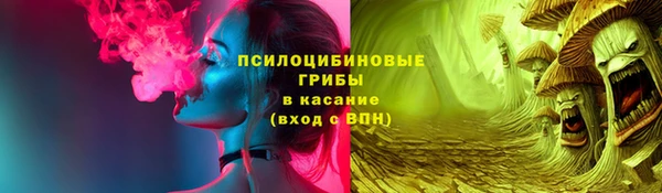 бошки Лихославль