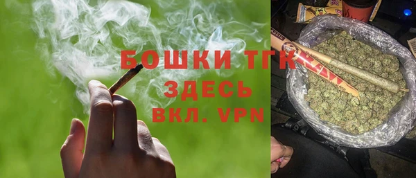 PSILOCYBIN Лабытнанги