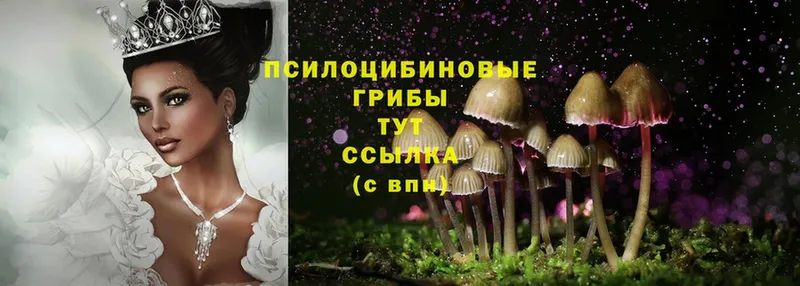 Псилоцибиновые грибы MAGIC MUSHROOMS  Новосиль 